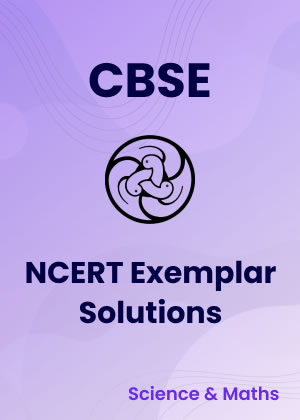 NCERT exemplar solutions